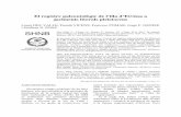 El registre paleontològic de l’illa d’Eivissa a jaciments ...ibdigital.uib.cat/greenstone/collect/bolleti... · Antoni, Cala Jondal, Cala Llonga, Niu Blau, Illa Plana, Talamanca