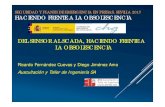 SEGURIDAD Y PLANES DE EMERGENCIA EN PRESAS. SEVILLA 2017 HACIENDO FRENTE A LA ...atinfo.net/images/Jornadas/Ponencia-ATI-Jornada... · 2017-12-29 · SEGURIDAD Y PLANES DE EMERGENCIA