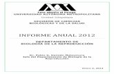 INFORME ANUAL 2012 · 2019-05-08 · 2 biologÍa de la reproducciÓn jefe del departamento miguel herrera campos técnico laboratorista organigrama del departamento de 2012 dr. pablo
