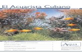 El Acuarista Cubano · En la naturaleza muchos de los peces viven en aguas que se encuentran en movimiento permanente y en un volumen muy superior al de cualquier acuario que en el