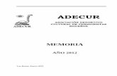 ADECUR Memoria del Ejercicio 2012 2012 para WEB.pdf · ADECUR Memoria del Ejercicio 2012 4 La consolidación del Grupo de Voluntariado en temas Culturales y de Educación.