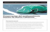 Preservación del medioambiente marino de Nueva Caledonia€¦ · ballenas jorobadas, dugongos, grandes tiburones, tortugas marinas, mantarrayas, peces Napoleón, serpientes de mar