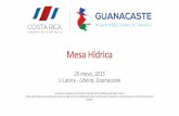 Instalación de Mesa de Trabajo 28 de agosto, 2015 …...2016/05/20  · 20 mayo, 2015 U Latina - Liberia, Guanacaste Acuerdo Presidencial Nº 039 Nº 039-MP-MTSS-MINAE-MH-MOPT-MAG