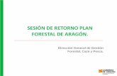 SESIÓN DE RETORNO PLAN FORESTAL DE ARAGÓN.aragonparticipa.aragon.es/sites/default/files/... · 4.5.1. Economía del monte 4.5.2. Ambientales de Gestion Forestal 4.5.3.Seguridad