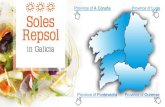 Province of A Coruña Soles Repsol in Galicia Province of ...€¦ · Province of Pontevedra Province of Lu o Province of Ourense . Created Date: 2/16/2017 9:01:01 AM ...