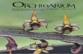 Revista trimestral del Orquidario de Estepona ISSN 2386 ...orquimaniaco.es/wp-content/uploads/2015/05/orchidarium02-1.pdf · y una bolsa de sustrato para orquídeas. 2 Orchidarium