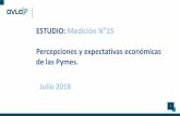 ESTUDIO: Medición N 15 Percepciones y …...• Expectativas de la Economía (su empresa, pymes, grandes empresas y economía chilena). Para cada una de estas variables se calcula