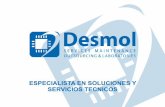 ESPECIALISTA EN SOLUCIONES Y SERVICIOS TECNICOSdesmol.es/es/desmol_presentacion_es_2015.pdfEasypoint (53xx), Personas (58xx) y SelfServ (66xx) ATMs. Características únicas Decodificación