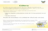 Cóleradte.seph.gob.mx/salud/Anuncio_baner/03/Temporada_de calor...El cólera es una enfermedad diarreica aguda causada por la bacteria Vibrio cholerae, se adquiere al ingerir agua