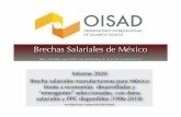 Brechas Salariales de México - Jus Semper · causas de pobreza, y yendo a la vez en pos del desarrollo sostenible –reduciendo racionalmente el consumo en el Norte y aumentándolo