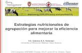 Estrategias nutricionales de agrupación para mejorar la ...dairymgt.info/publications/NutricionalGruposNEMBE14.pdf · Estrategias nutricionales de agrupación para mejorar la eficiencia
