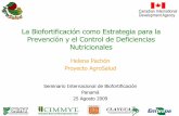 La Biofortificación como Estrategia para la Prevención y ...lac.harvestplus.org/wp-content/uploads/2009/11/... · Complementa otras estrategias Focalizado en familias rurales, con