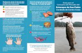 Guía para el Consumo de Pescado del Se puede consumir 5 ......Comer pescado es bueno para su salud. El pescado contiene ácidos grasos Omega-3 que pueden reducir su riesgo de desarrollar