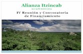 Alianza Itzincab - ccpy.gob.mx€¦ · Cierre primer día 10. Brindis y cena . 1. ... actividades de producción sostenible (manejo forestal; manejo silvopastoril, apicultura, ecoturismo,