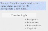 Tema 4: Cambios con la edad en la capacidades cognitivas ...mayores.uji.es/wp-content/uploads/2019/11/Inteligencia19.pdf · Terminología •Inteligencia •Pensamiento •Razonamiento