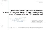 Insectos Asociados con Especies Forrajeras en América Tropicalciat-library.ciat.cgiar.org/Articulos_Ciat/2013... · Insectos en leguminosas 15 S/ylosan/hes spp. 15 Cen/rosema spp.