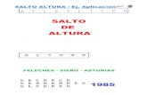 SALTO ALTURA / Ej. Aplicaciأ³n ... SALTO DE ASTURIAS 1985 FELECHES - SIERO - L L L L L L [chado beca