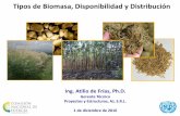 Tiposde Biomasa, Disponibilidad y Distribuciónbioelectricidad.org/uploads/library/15.pdfproductores en el mercado de biomasa 4. El epicentro del mercado y disponibilidad de biomasa