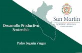 Desarrollo Productivo INFORME DE LOS 100 DIAS DE ......2019/07/03  · INFORME DE LOS 100 DIAS DE GESTIÓN Gobierno Regional San Martín Desarrollo Productivo Sostenible Pedro Bogarín