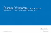 Reporte Trimestral COMERCIO EXTERIOR DE CHILE ENERO ...2014/2013 1 R.P. China (2006) 13.458 13.637 1% 2 Unión Europea (2003) 8.641 8.642 0,004% 3 Estados Unidos (2004) 7.806 7.070