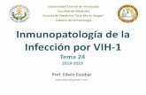 Cátedra de Inmunología Inmunopatología de la Infección por VIH-1 · (CCR5+, Memoria Efectora) ... • Daño a la mucosa intestinal – LPS Bacteriano • Proteínas Virales (gp120,
