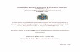 Universidad Nacional Autónoma de Nicaragua, Managua UNAN ...repositorio.unan.edu.ni/2743/1/17482.pdf · Análisis de las estrategias evaluativas utilizadas por los/as docentes en