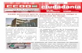 CCOO denuncia que la Junta de Andalucía obliga a ...€¦ · CCOO entiende que el plan deberá contener todo lo referente a personal de riesgo, desinfecciones, EPIs, monitoreo, medidas