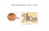 Neurociencia: mirar y ver - INFOR · 2017-09-08 · Neurociencia: mirar y ver . Observación y ciencia. Paisaje en la historia • P. Cataldi S XVI Pedro Lira Identidad. Las plantaciones