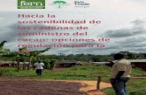 Hacia la sostenibilidad de las cadenas de suministro del ...€¦ · 2.2 Trabajo infantil 2.3 Deforestación 2.4 Gobernanza e ilegalidad ...