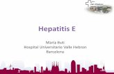 Hepatitis E - jornadasavancehepatologia.uma.es · New Microbes New Infect. 2015 15;10:6-12 . Eating pork product \⠀猀愀甀猀愀最攀Ⰰ 瀀愀琀攀Ⰰ 攀琀挀尩 ...