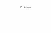 Proteínas - WordPress.com · Proteínas y su Papel Biológico cont. • Los componentes proteícos de una célula son claves para las actividades biológicas de la misma. En adición,