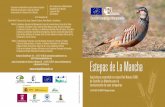 Estepas de La Mancha - Custodia del Territorio · Estepas de La Mancha Agricultura sostenible en zonas Red Natura 2000 de Castilla-La Mancha para la conservación de aves esteparias