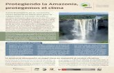 Protegiendo la Amazonía, · 2015-07-21 · cos: Brasil, Bolivia, Venezuela y Ecuador El Quinto Informe del Panel Intergu-bernamental sobre Cambio Climático reportó que casi la