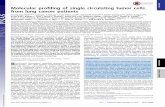 Molecular profiling of single circulating tumor cells from lung … · vidual cell phenotypes. Because this analysis averages out signals across individual CTCs, the heterogeneity