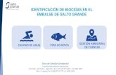 IDENTIFICACIÓN DE BIOCIDAS EN EL EMBALSE DE SALTO GRANDEproarroz.com.ar/static/presentaciones/identificacion-de... · 2019-09-02 · IDENTIFICACIÓN DE BIOCIDAS EN EL EMBALSE DE