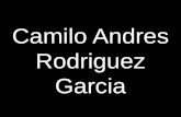 Camilo Andres Rodriguez Garcia - actuaries.org · Camilo Andres Rodriguez Garcia. Cómo aprendí a dejar de preocuparme y amar el ahorro individual. Contenido 1. Trabajo Académico
