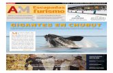 Sabores y recuerdos de El Calafate La selva más biodiversa ... - 12 JUL 2019 - BAJA.pdf · vincia patagónica abre sus puertas para las dos semanas de descanso con pro-puestas todo