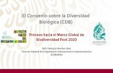 El Convenio sobre la Diversidad Biológica (CDB) · 2020-03-10 · 25-30 de mayo, 2020 Montreal, Canadá 3ª reunión del Grupo de Trabajo sobre el MGB-2020 27-31 julio 2020 Cali,