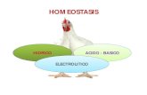 HIDRICO ACIDO - BASICO ELECTROLITICO · 2018-09-11 · HIDRICO ACIDO - BASICO ELECTROLITICO. I- BALANCE HIDRICO: ... control de la osmolalidad de los líquidos extracelulares; ...