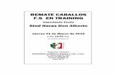 REMATE CABALLOS F.S EN TRAINING - FZR...4 - Fernando Zañartu y Cía. Ltda. Remate Caballos F.S. en Training LOTE N 020 -t Stuka II Jade Hunter Total Impact A.1990 Caerleon’s Success