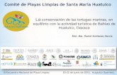 Comité de Playas Limpias de Santa María Huatulco · Las tortugas marinas: • Categoría de Peligro de Extinción en la NOM-059-SEMARNAT-2010. •Su manejo requiere de la autorización