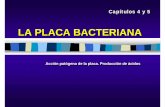 LA PLACA BACTERIANA Acción patógena de la placa ... · PLACA BACTERIANA Teoría quimioparasitaria (Miller, 1890) Placa microbiana gelatinosa (Black, GV.Susceptibility and inmunity
