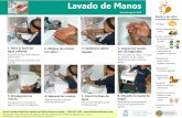 Lavado de Manoshealthychildcare.unc.edu/files/2018/09/Child-Handwashing...2.Mójese las manos con agua. 3. Aplíquese jabón líquido. 4. Lávese las manos por 20 segundos. Frote la