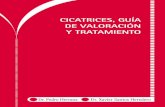 CiCatriCes, guía de valoraCión y tratamiento · mencionan a la silicona como tratamiento de primera línea en cicatrices anormales, con pruebas suficientes basadas en la evidencia7.