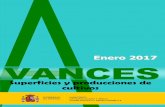 Enero 2017 VANCES - mapa.gob.es...Enero 2017 Se presentan las estimaciones disponibles de los cultivos y grupos de cultivos de mayor importancia en España co-rrespondientes al 31