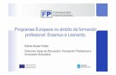 Programas Europeos no ámbito da formación …³n...Programas de aprendizaxe permanente. (PAP) COMENIUS Educación Escolar ERASMUS Educación Superior e Formación Profesional de