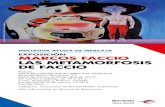 INICIATIVA AyudA dE IBERCAJA · 2015-05-25 · Atenea y Aracne, 2014. Óleo sobre lienzo. 65 x 81 cm. LAS METAMORFOSIS dE FACCIO Marcos Faccio nace en la Punta alta (argentina), en