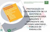 Presentación de PowerPoint - Pediatras de Andalucíapediatrasandalucia.org/Pdfs/protocoloasistenciaextrahospitalaria.pdf · Luis Jiménez Murillo. Jefe de Servicio y Director de