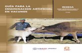 GUÍA PARA LA REDESA INSEMINACION ARTIFICIAL ......Para el mejoramiento genético del machos de mayor potencial productivo. ganado vacuno se usan métodos de La inseminación artificial
