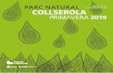 PARC NATURAL Butlletí núm. 123 COLLSEROLA · 2019-12-02 · Consorci del Parc Natural de la Serra de Collserola Activitat saludable al Parc Natural de Collserola. Font: CPNSC El